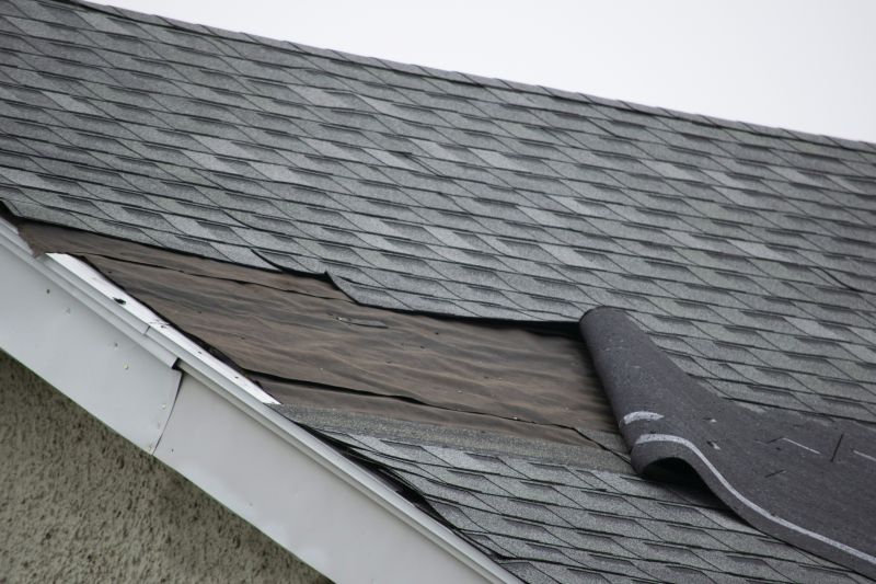 Shingle Repair in Progress